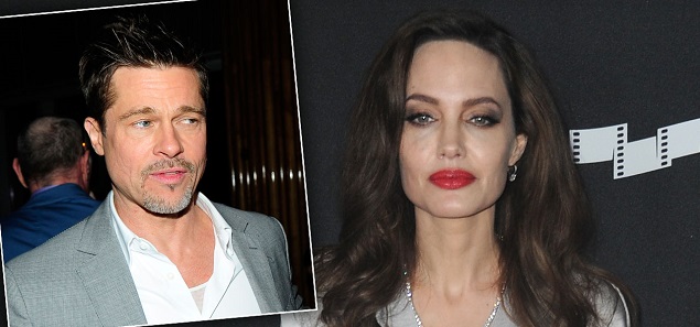 Angelina Jolie premiada por su compromiso social y Brad Pitt cumpli54 aos... solo con su bulldog