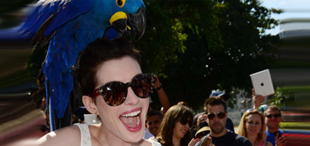 Anne Hathaway habla sobre quienes la odian