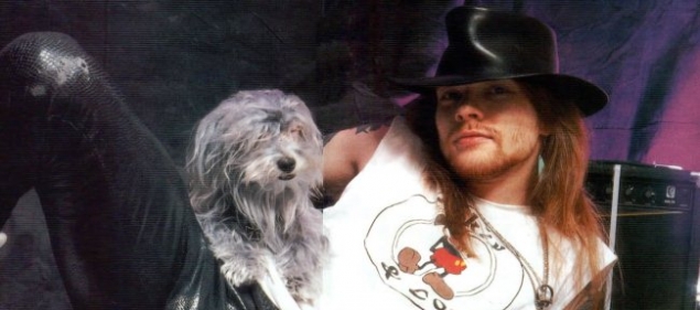 Asaltaron a Axl Rose