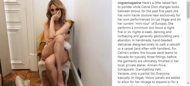 Celine Dion sorprende con su primer desnudo para una revista