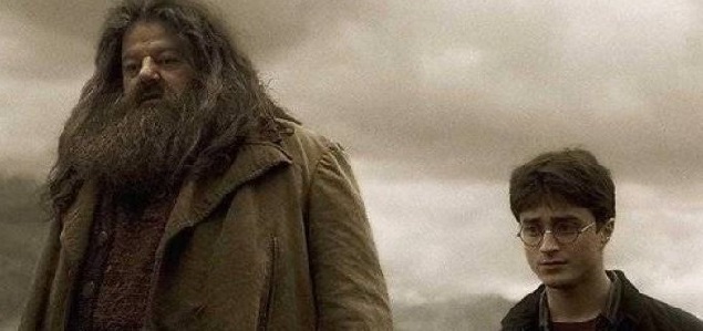 Daniel Radcliffe revel con que personaje de Harry Potter quisiera pasar la cuarentena