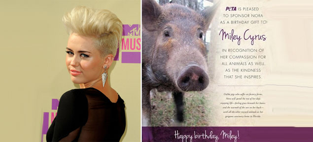 El inslito regalo que recibi Miley Cyrus