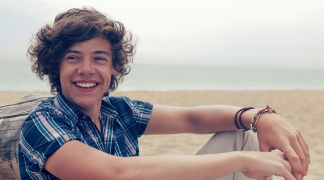 Harry Styles quiere tener una familia