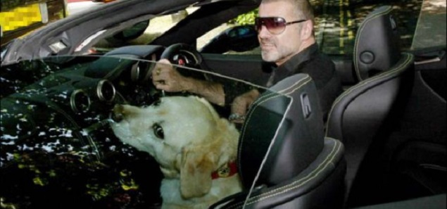 La triste historia de Abby, el perro que perteneci a George Michael