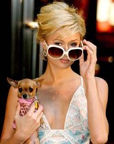 Robaron a Paris Hilton.