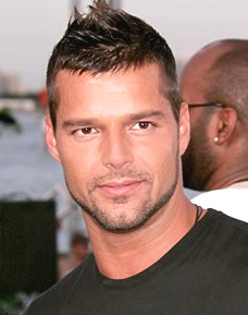 La paternidad de Ricky Martin.