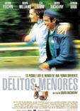 Delitos menores