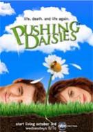 Pushing Daisies