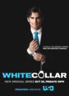 White Collar