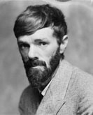 D. H. Lawrence