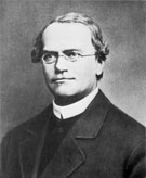 Gregor Mendel