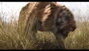 El libro de la selva - Trailer español (HD)