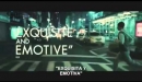 Shame - Trailer subtitulado